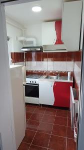 彼得罗沙尼Studio Six Continents的小厨房配有炉灶和水槽
