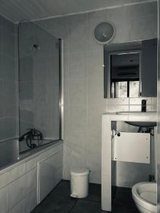 滨海阿热莱斯Hôtel Le Pescadou的一间带水槽、卫生间和镜子的浴室