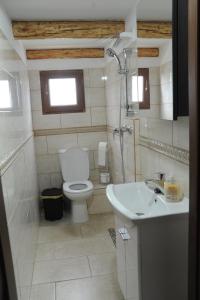AlmaşCasa de vacanta - Ograda cu flori的一间带卫生间和水槽的浴室