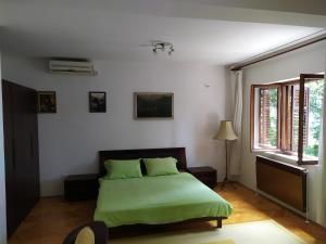 赫尔采格诺维Vuksanovic Apartment的一间卧室设有一张绿色的床和一个窗户。