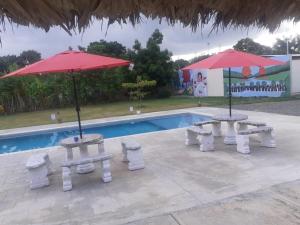 拉维加Hotel Anedi的游泳池旁的两张桌子和两把遮阳伞