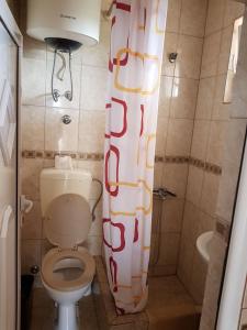 乌尔齐尼Guesthouse Domenik的一间带卫生间和淋浴帘的浴室