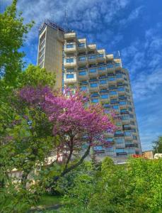 维丁Rovno Hotel的一座高大的建筑,前面有一棵开花的树