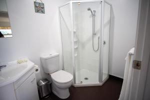 科罗曼德镇Coromandel Seaview Motel的带淋浴、卫生间和盥洗盆的浴室
