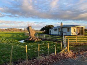 WairoaThe Cottage @ Aranui的田野上一棵树和一棵树,围栏