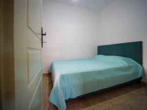 米利纳Σπιτι στην εξοχη - Country House Milina的一间卧室配有一张带绿毯的床和一扇门