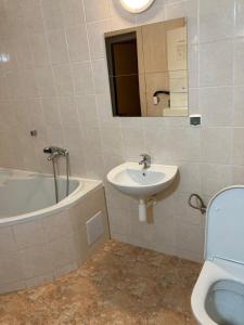 托普拉河畔弗拉诺夫Apartmanový byt v priemyselnej zóne的浴室配有盥洗盆和浴缸。