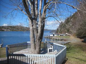 Head of Jeddore鲑鱼河乡村宾馆的围着一棵树围起来的围栏,在湖边边设有长凳