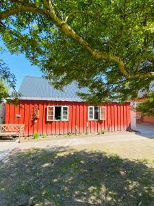 朗格内斯岛HaRe Ferienwohnungen的前面有长凳的红色谷仓