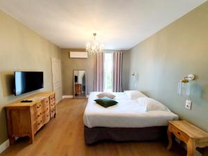 韦纳科法斯科恩酒店的一间卧室配有一张大床和一台平面电视