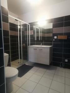 奥内莱沙托Appartement T2 accessible PMR avec terrasse et garage的浴室配有卫生间、盥洗盆和淋浴。