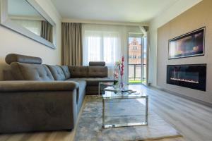 索普隆Central Residence的带沙发和壁炉的客厅