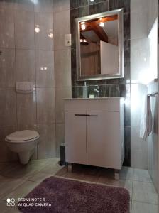 特罗吉尔马卡拉一室公寓的一间带卫生间、水槽和镜子的浴室