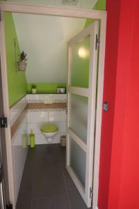阿梅尔斯克维Au Petit Paradis的一间带卫生间和绿色墙壁的浴室