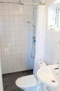 莫勒松德帕拉斯佳尔顿酒店的浴室配有卫生间、盥洗盆和淋浴。