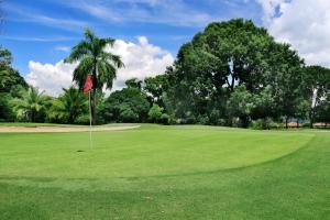 普拉亚科罗纳多Beautiful Beach Stay, Golf view Suite at Coronado的绿色高尔夫球场,种植了棕榈树,挂了旗帜