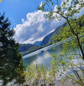 福森Ferienwohnung Alpen Sunshine Füssen的享有以山脉为背景的湖泊美景