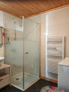 尚帕尼恩瓦努瓦茲la ratavelaiza的浴室里设有玻璃门淋浴