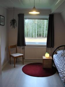 拉达Härlig Heden Vakantiehuis的一间卧室设有床、窗户和红色地毯。