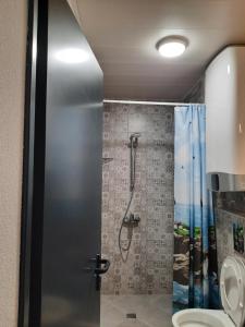 洛泽内茨VIDA的带淋浴和卫生间的浴室