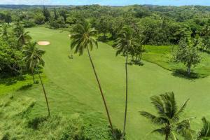 瓦阿Shangri-La Yanuca Island, Fiji的享有棕榈树高尔夫球场的空中景致