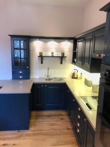 凯尔索Castle Nook的厨房配有蓝色橱柜和水槽
