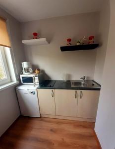 科赫特拉-耶尔韦Estonia pst 26的一间带水槽和微波炉的小厨房