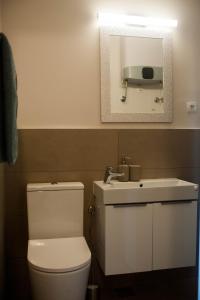 奥帕提亚Kiwi Studio的一间带卫生间、水槽和镜子的浴室