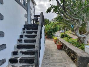 Santo AmaroCasa do Gato Preto的通往树木繁茂的房子的楼梯