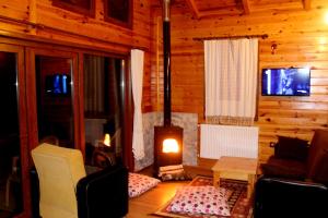 艾德亚耶拉西Ayder Cise Dag Evleri的小木屋内带壁炉的客厅