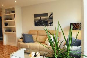 圣地亚哥－德孔波斯特拉Silver Home的带沙发和植物的客厅
