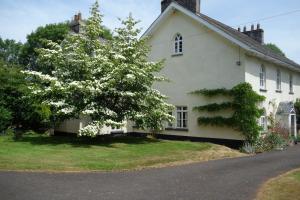 克雷迪顿St Michaels House的前面有一棵树的白色房子