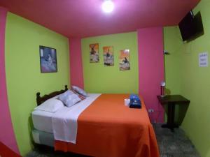 克萨尔特南戈Hotel Casa Del Viajero的一间卧室设有一张带绿色和粉红色墙壁的床。