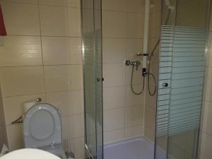 波滕施泰因Pension-Puttlachtal的带淋浴、卫生间和玻璃淋浴间的浴室
