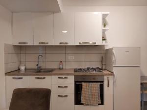 伊佐拉Apartment Ana的厨房配有白色橱柜、水槽和冰箱。