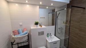 马尔堡Apartament Rycerski的带淋浴、卫生间和盥洗盆的浴室