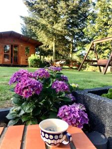 LaskowoOsada Laskowo, Ośrodek Laskowo domki nad jeziorem的院子中带花瓶和紫色花的桌子