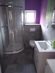 卡鲁扎Apartmány Vihorlat II的带淋浴、卫生间和盥洗盆的浴室