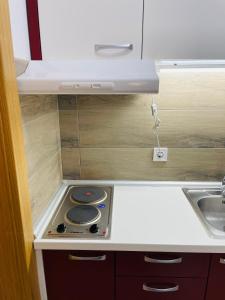 索科矿泉村Apartman Saga Premium Garaza Parking Vauceri Ne的小厨房配有炉灶和水槽