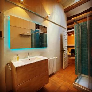 托雷拉斯迪弗克阿里奈尔佩内德斯住宿加早餐旅馆的一间带水槽、镜子和淋浴的浴室