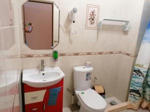 多尔然斯卡亚Отель Адель的一间带水槽、卫生间和镜子的浴室