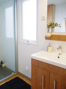 圣伊莱尔德里耶Mobil-home Dan Dom的一间带水槽、窗户和淋浴的浴室