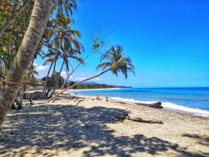 圣玛尔塔HOSTAL Estrellas del tayrona playa的棕榈树和海洋的沙滩