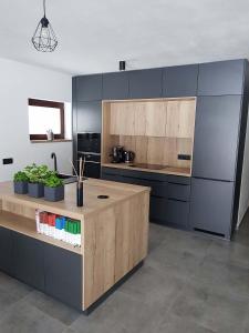 诺瓦佩奇Apartmán Pod Hochfichtem的厨房配有蓝色橱柜和植物台面