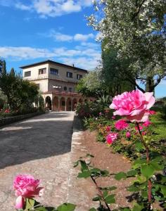西尔米奥奈Villa Paradiso的前面有粉红色花的建筑
