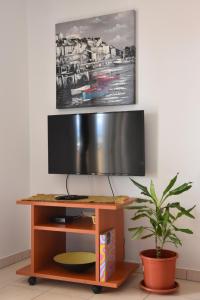 奇茲希Apartmani Andrea的木立电视架上的电视机和植物