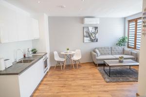普罗夫迪夫Shushi's Central Studio Apartment的厨房以及带沙发和桌子的客厅。