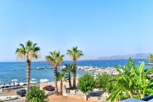 斯卡拉Anagennisi Hotel的享有棕榈树海滩和大海的景色