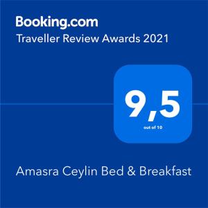 阿玛斯拉Amasra Ceylin Otel的亚马逊现金住宿加早餐旅馆的屏风