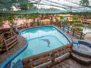 安蒂波洛OYO 588 Sunrock Resort的在主题公园的游泳池游泳的海豚